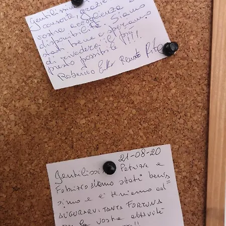 Vacanze Pisane Пиза